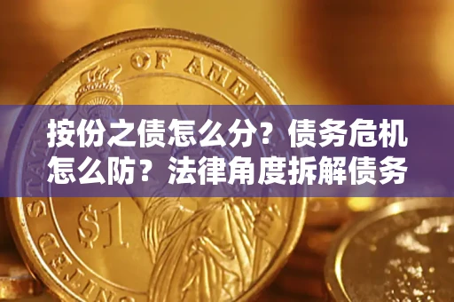 武汉按份之债怎么分？债务危机怎么防？法律角度拆解债务分配与风险自保指南