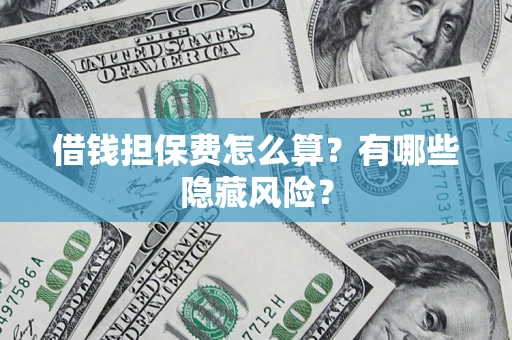 武汉借钱担保费怎么算？有哪些隐藏风险？