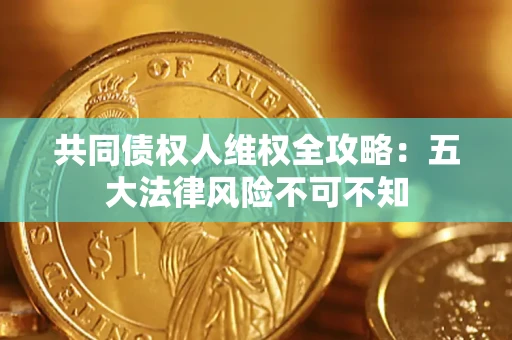 武汉共同债权人维权全攻略：五大法律风险不可不知