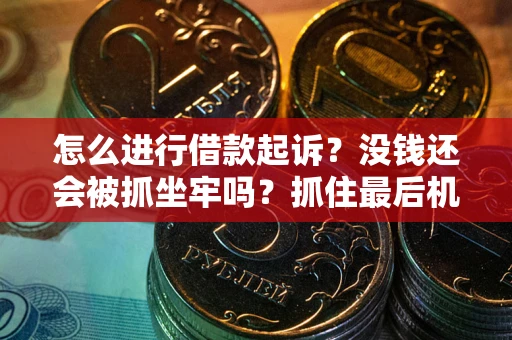 武汉怎么进行借款起诉？没钱还会被抓坐牢吗？抓住最后机会！