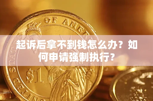 武汉起诉后拿不到钱怎么办？如何申请强制执行？