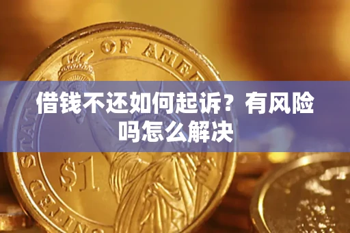 武汉借钱不还如何起诉？有风险吗怎么解决