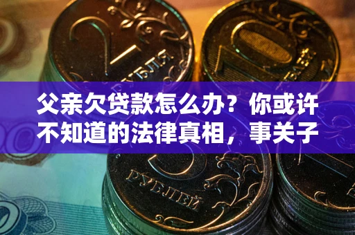 武汉父亲欠贷款怎么办？你或许不知道的法律真相，事关子女未来