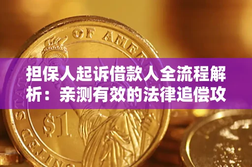 武汉担保人起诉借款人全流程解析：亲测有效的法律追偿攻略
