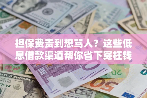 武汉担保费贵到想骂人？这些低息借款渠道帮你省下冤枉钱