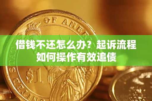 武汉借钱不还怎么办？起诉流程如何操作有效追债