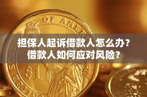 武汉担保人起诉借款人怎么办？借款人如何应对风险？