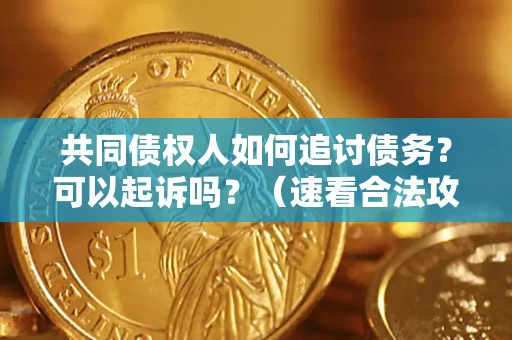 武汉共同债权人如何追讨债务？可以起诉吗？（速看合法攻略）