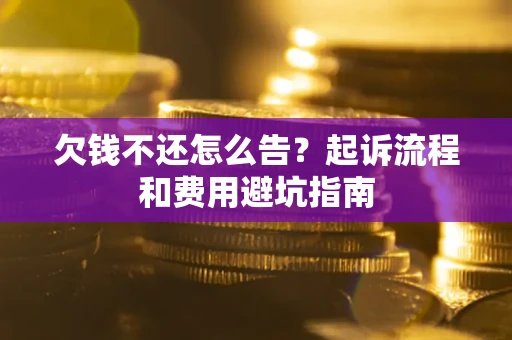 武汉欠钱不还怎么告？起诉流程和费用避坑指南