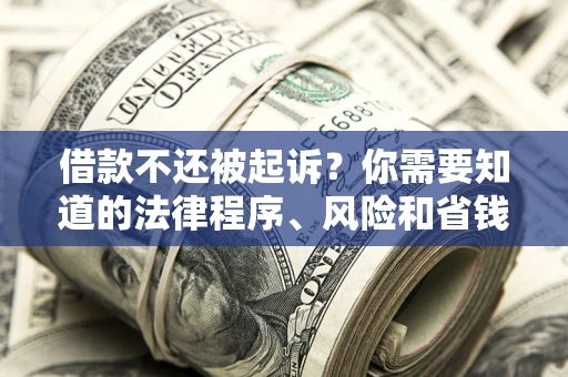 武汉借款不还被起诉？你需要知道的法律程序、风险和省钱技巧