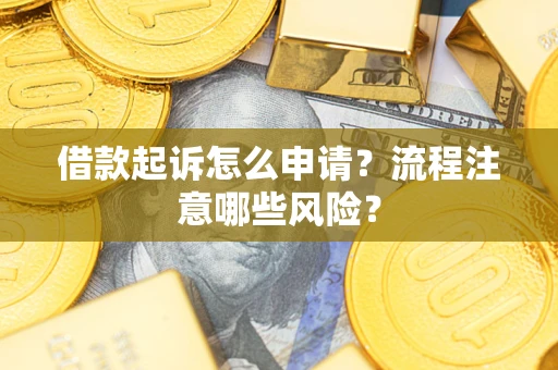 武汉借款起诉怎么申请？流程注意哪些风险？